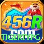 456r VIP Casino App