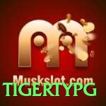 muskslot Premium BR v1.1.3
