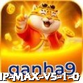 vip Max v5.1.0